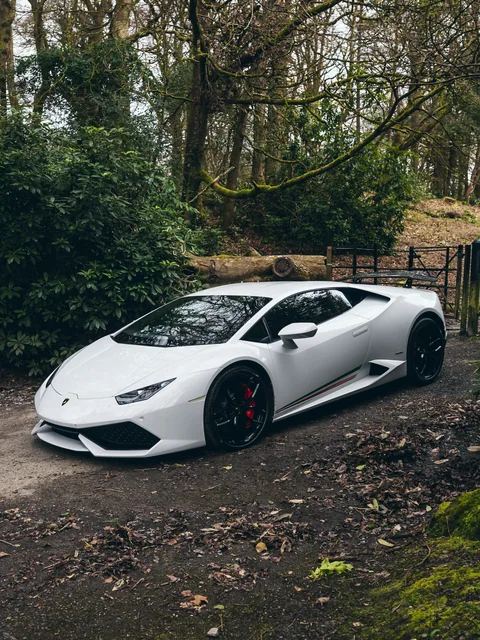 A white Lamborghini framed by woodland