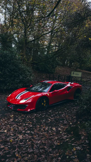 A red Ferrari on a leaf-covered woodland road